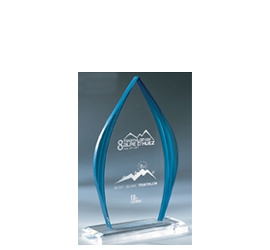 Trophée plexiglass Transparent<br>''luxe'' 160-0121