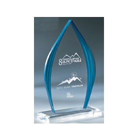 Trophée plexiglass Transparent<br>''luxe'' 160-0221