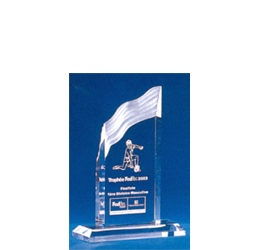 Trophée plexiglass Transparent<br>''luxe'' 119-5121