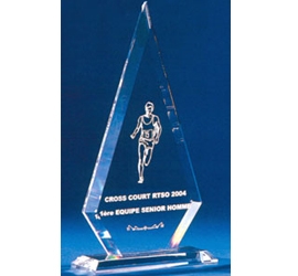 Trophée plexiglass Transparent<br>''luxe'' 120-0321