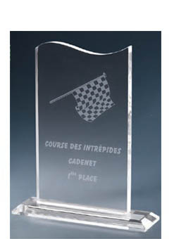 Trophée plexiglass Transparent<br>173-1221