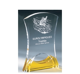 Trophée plexiglass Transparent ''luxe'' 161-01