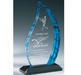 Trophée plexiglass Transparent ''luxe'' 163-03