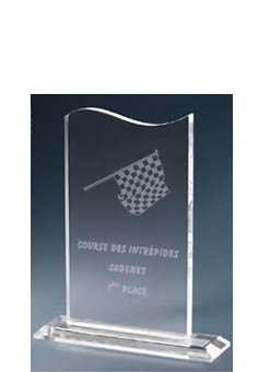 Trophée plexiglass Transparent 173-11