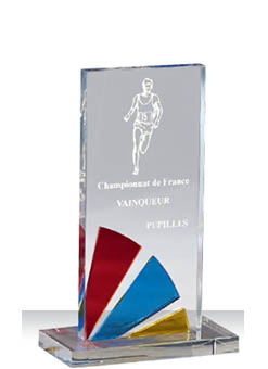 Trophée plexiglass Transparent 175-51