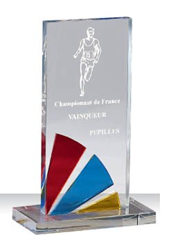 Trophée plexiglass Transparent 175-52