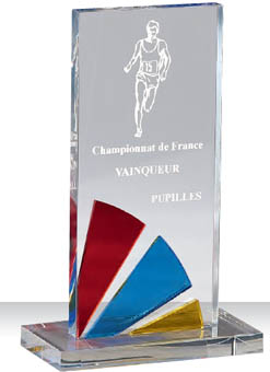 Trophée plexiglass Transparent 175-53